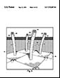 Patent-drwg-7,799,987-Solar-85w